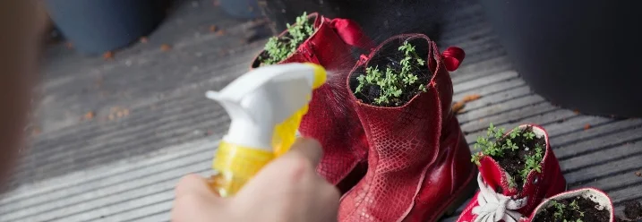 Hand besprüht Pflanzen in alten Schuhen